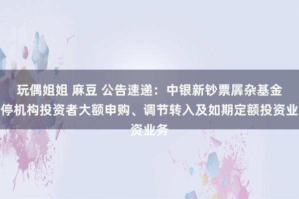 玩偶姐姐 麻豆 公告速递：中银新钞票羼杂基金暂停机构投资者大额申购、调节转入及如期定额投资业务