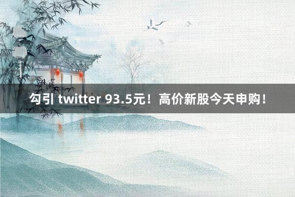 勾引 twitter 93.5元！高价新股今天申购！