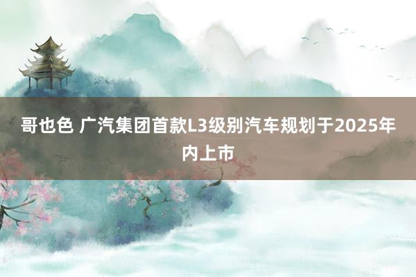 哥也色 广汽集团首款L3级别汽车规划于2025年内上市