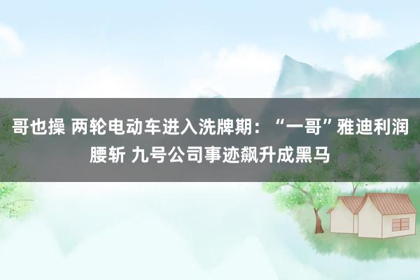 哥也操 两轮电动车进入洗牌期：“一哥”雅迪利润腰斩 九号公司事迹飙升成黑马