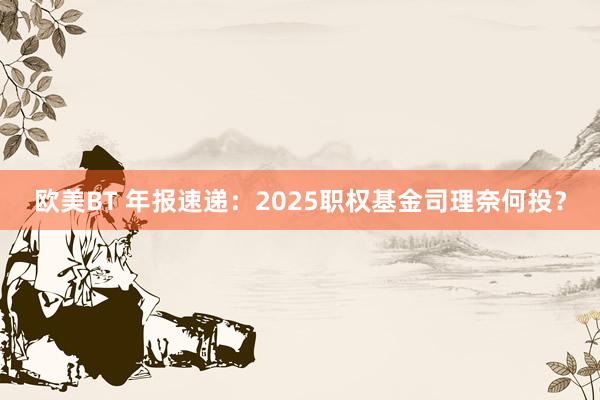 欧美BT 年报速递：2025职权基金司理奈何投？