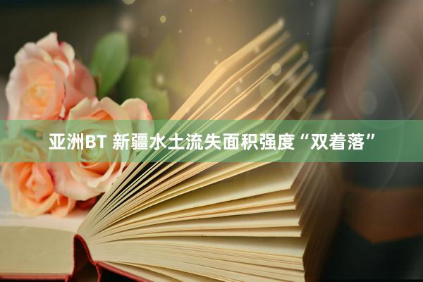 亚洲BT 新疆水土流失面积强度“双着落”