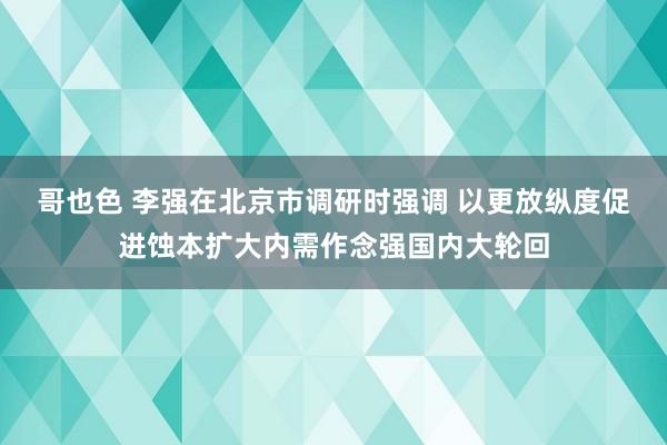 哥也色 李强在北京市调研时强调 以更放纵度促进蚀本扩大内需作念强国内大轮回