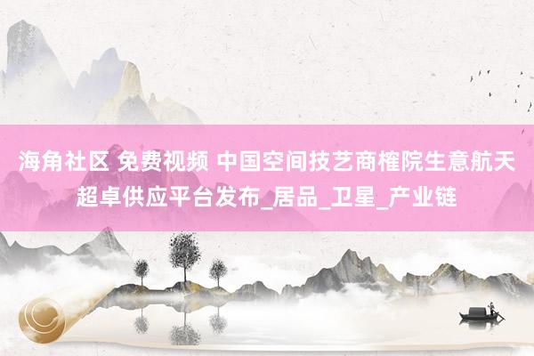 海角社区 免费视频 中国空间技艺商榷院生意航天超卓供应平台发布_居品_卫星_产业链