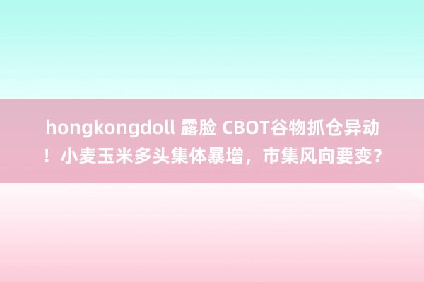 hongkongdoll 露脸 CBOT谷物抓仓异动！小麦玉米多头集体暴增，市集风向要变？