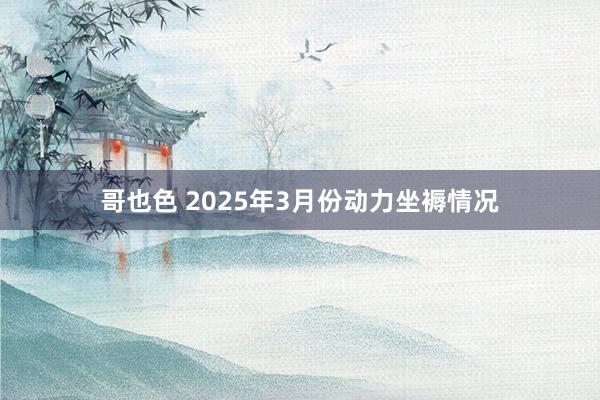 哥也色 2025年3月份动力坐褥情况