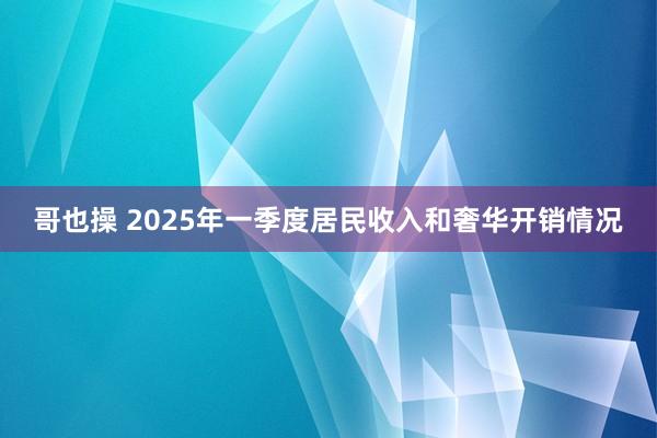 哥也操 2025年一季度居民收入和奢华开销情况