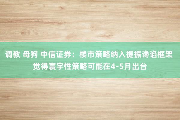 调教 母狗 中信证券：楼市策略纳入提振谗谄框架 觉得寰宇性策略可能在4-5月出台