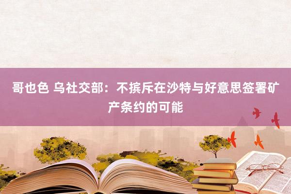 哥也色 乌社交部：不摈斥在沙特与好意思签署矿产条约的可能