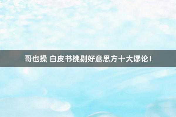 哥也操 白皮书挑剔好意思方十大谬论！