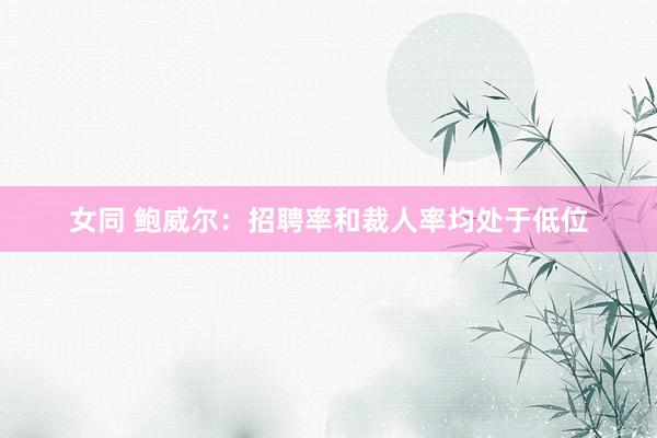 女同 鲍威尔：招聘率和裁人率均处于低位