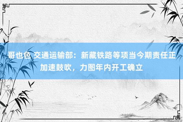 哥也色 交通运输部：新藏铁路等项当今期责任正加速鼓吹，力图年内开工确立