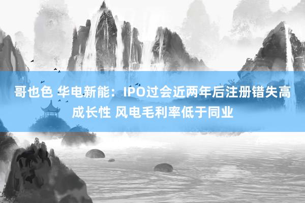 哥也色 华电新能：IPO过会近两年后注册错失高成长性 风电毛利率低于同业