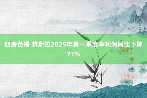四房色播 特斯拉2025年第一季度净利润同比下降71%