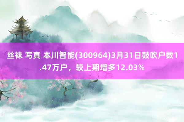 丝袜 写真 本川智能(300964)3月31日鼓吹户数1.47万户，较上期增多12.03%